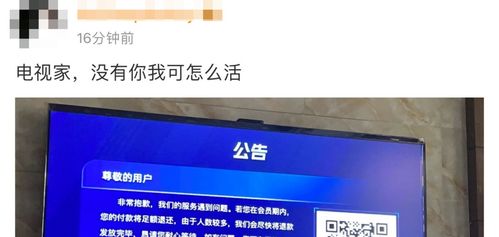 知名App暫停服務 技術服務中斷的沖擊與反思